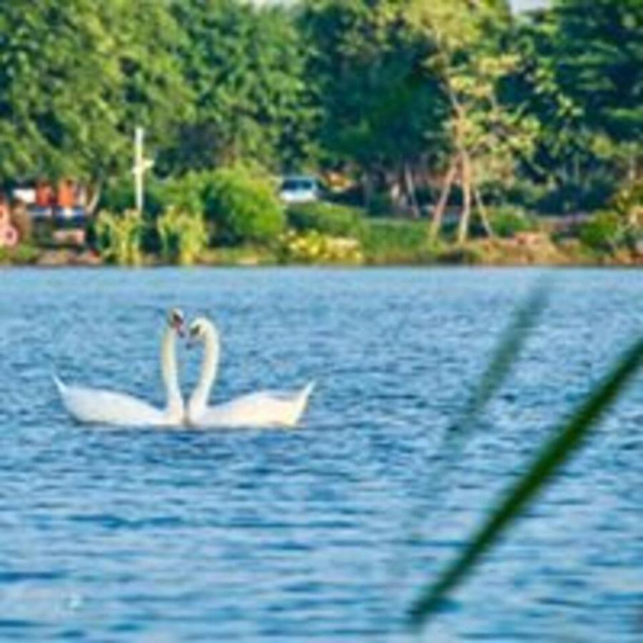 Sue Homestay Ecopark Hung Yen Exteriör bild